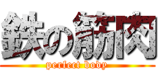 鉄の筋肉 (perfect body)