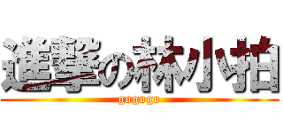 進撃の林小拍 (gogogo)