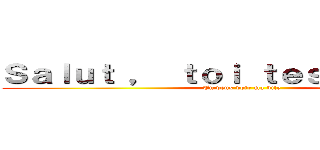 Ｓａｌｕｔ ， ｔｏｉ ｔｅｓ ｍｉｇｎｏｎ (Tu veux voir ma bite)