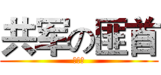 共军の匪首 (毛村夫)