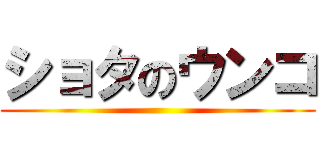 ショタのウンコ ()