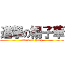 進撃の楊子華 (attack on Yang)