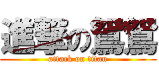 進撃の鴛鴛 (attack on titan)