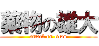 薬物の雄大 (attack on titan)