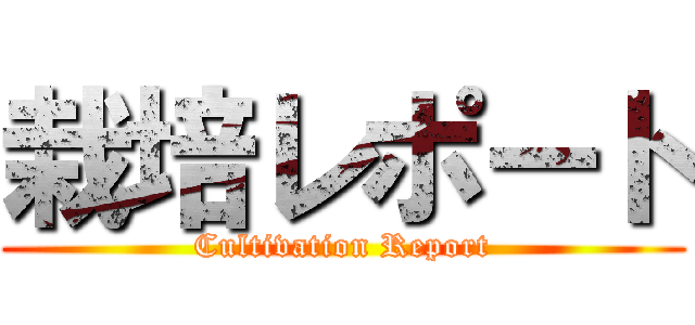 栽培レポート (Cultivation Report)