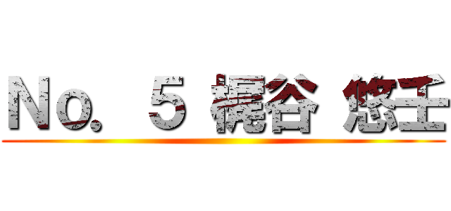 Ｎｏ．５ 梶谷 悠壬 ()