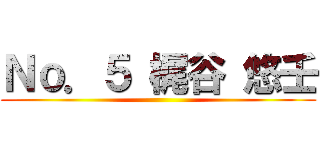 Ｎｏ．５ 梶谷 悠壬 ()