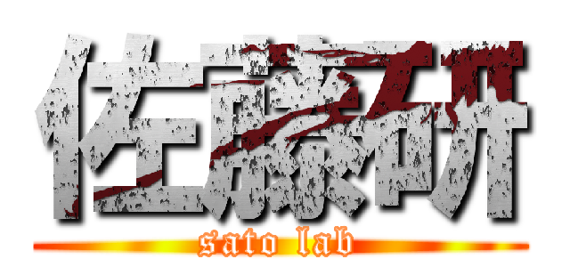 佐藤研 (sato lab)