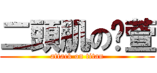 二頭肌の芷萱 (attack on titan)