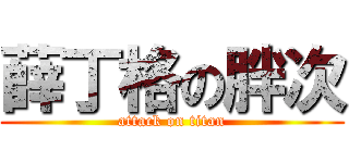 薛丁格の胖次 (attack on titan)