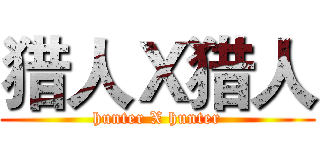 猎人Ｘ猎人 (hunter X hunter)