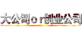 大公司ｏｒ创业公司 (殊途同归)