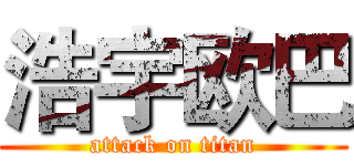 浩宇欧巴 (attack on titan)