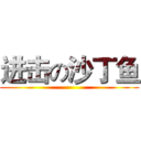 进击の沙丁鱼 ()