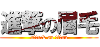 進撃の眉毛 (attack on titan)