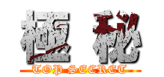 極 秘 (TOP SECRET)