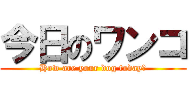 今日のワンコ (How are your dog today?)