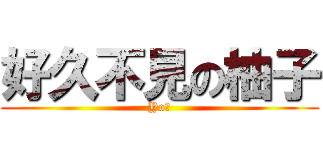 好久不見の柚子 (Yo子)