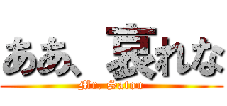 ああ、哀れな (Mr. Satou)