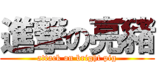 進撃の亮豬 (attack on bright pig)