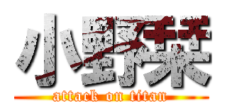 小野栞 (attack on titan)