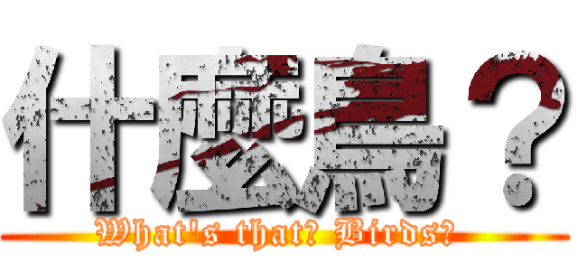 什麼鳥？ (What\'s that? Birds? )