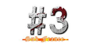 ＃３ (Snk France)