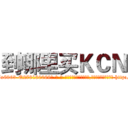 到哪里买ＫＣＮ (到哪里买KCN【电-186x2687x6963-Q278180069元-吉-药-业】我们做的是长期生意,靠的是老客户长期支持 http://sngk.net/DZoIrH
)