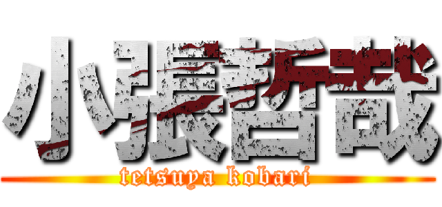小張哲哉 (tetsuya kobari)