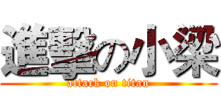 進擊の小梁 (attack on titan)