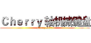 Ｃｈｅｒｒｙ 轴机械键盘 (Cherry MX黑轴)