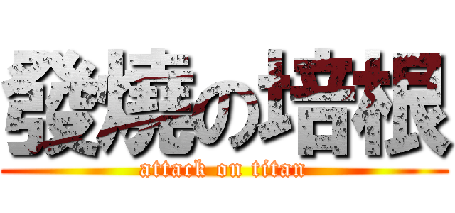 發燒の培根 (attack on titan)