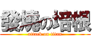 發燒の培根 (attack on titan)