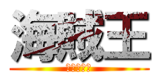 海賊王 (夥伴の羈絆)