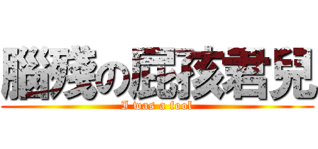 腦殘の屁孩君兒 (I was a fool)