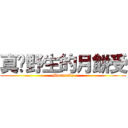 真·野生的月餅受 (Mooncake)