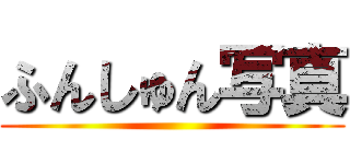 ふんしゅん写真 ()