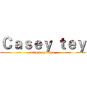 Ｃａｓｅｙ ｔｅｙ (attack on titan)