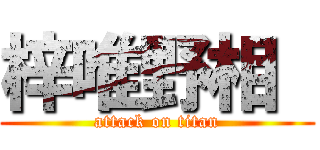 梓唯野相  (attack on titan)