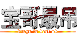 宝哥最吊 (baoge is best nb)