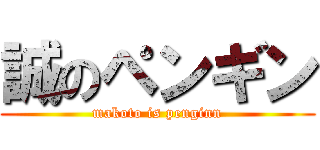 誠のペンギン (makoto is penginn)