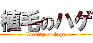 植毛のハゲ (flocking on hage)