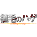 植毛のハゲ (flocking on hage)