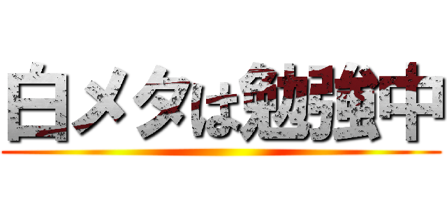 白メタは勉強中 ()