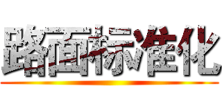 路面标准化 ()