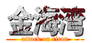 金海湾 (attack on titan)