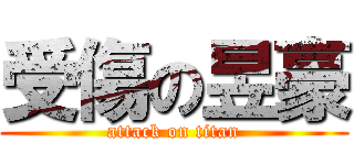 受傷の昱豪 (attack on titan)