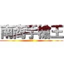 南商手槍王 (林秉漢)