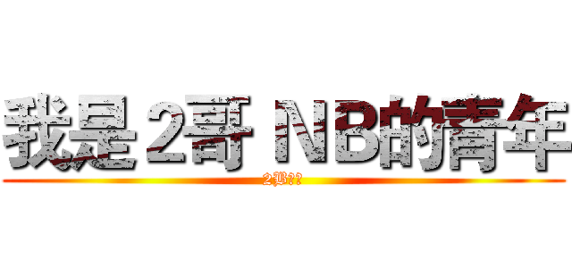 我是２哥 ＮＢ的青年 (2B屌丝)
