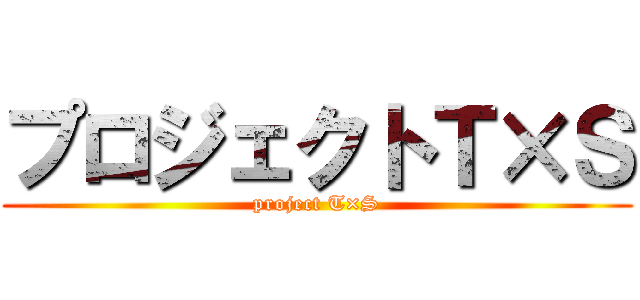 プロジェクトＴ×Ｓ (project T×S)